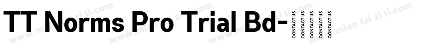 TT Norms Pro Trial Bd字体转换